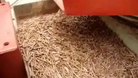 Pellet-Produktionslinie Vertikale funktionelle Biomasse-Pelletmaschine